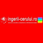 ingerii cerului Profile Picture